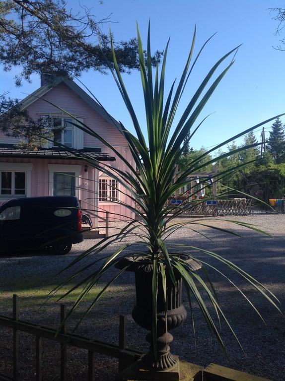 Box Bed & Breakfast Exterior foto